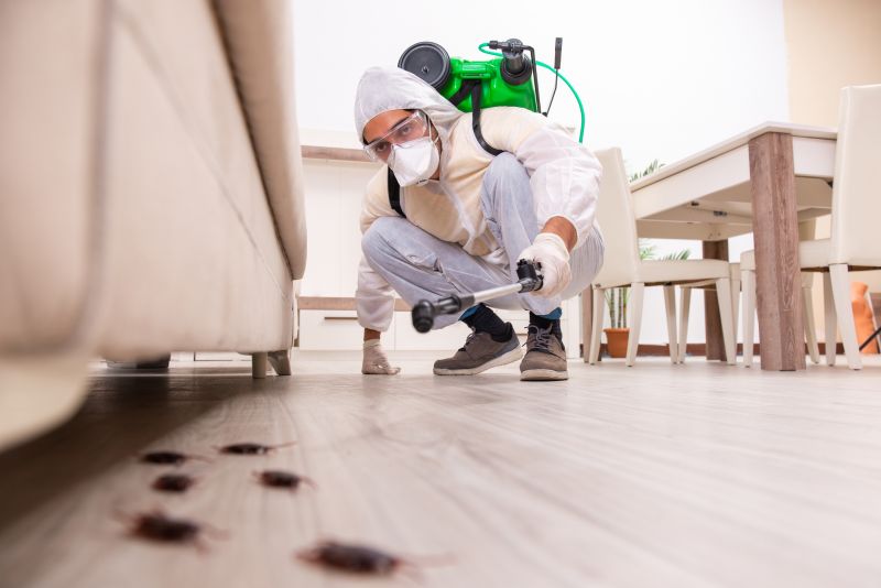 How General Pest Control Protects Property And Health